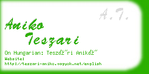 aniko teszari business card